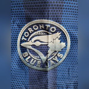 Toronto Blue Jay's Neck Warmer